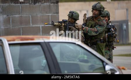 Holländische Marines mit Marineschwader Carib, niederländisches Marinekorps, Sicherheitsvorkehrungen während des Trainings karibischer Urban Warrior in Camp Lejeune, North Carolina, 23. März 2022. Bei der Übung handelt es sich um eine bilaterale Fortbildungsmaßnahme, die darauf abzielt, die globale Interoperabilität zwischen dem 2D. Aufklärungsbataillon, der 2D. Marine-Division und der Marine-Staffel Carib zu verbessern. Stockfoto
