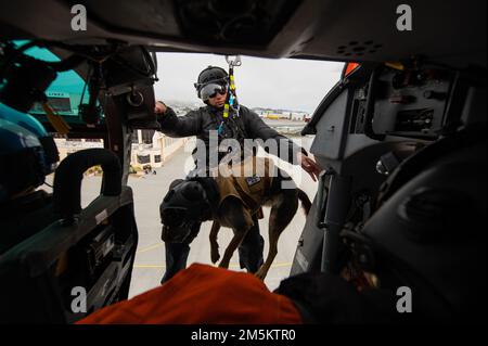 Küstenwache K-9 Petty Officer 1. Klasse Beny und sein Betreuer Maritime Enforcement Specialist 2. Klasse Glen Klotz führen am 23. März 2022 in einem MH-65D Dolphin Helikopter an der Coast Guard Air Station San Francsico, Kalifornien, eine K-9-Hebeschulung durch. Das ist die Grundqualifikation von K-9 Beny für das K9-Heben. (Küstenwache Foto von Petty Officer 3. Klasse Alex Gray) Stockfoto