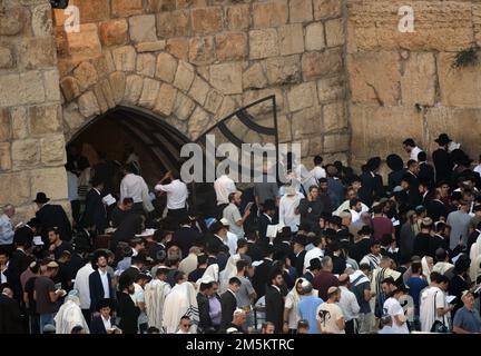 Jüdische Männer beten an der Klagemauer / Westmauer im jüdischen Viertel in der Altstadt von Jerusalem, Israel. Stockfoto