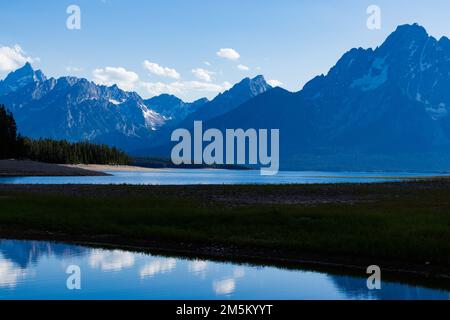 Grand Tetons entlang der grasbedeckten Uferlinie des Sees Stockfoto