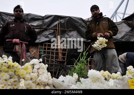 Mallick Ghat ist einer der größten Blumenmärkte in Asien. Szenen am frühen Morgen auf dem Markt in Kalkutta, Westbengalen, Indien. Stockfoto