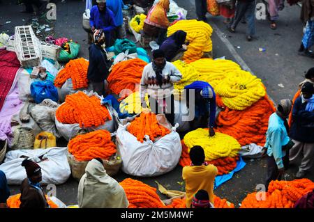 Mallick Ghat ist einer der größten Blumenmärkte in Asien. Szenen am frühen Morgen auf dem Markt in Kalkutta, Westbengalen, Indien. Stockfoto