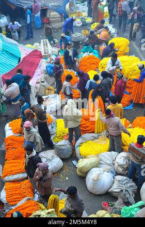 Mallick Ghat ist einer der größten Blumenmärkte in Asien. Szenen am frühen Morgen auf dem Markt in Kalkutta, Westbengalen, Indien. Stockfoto