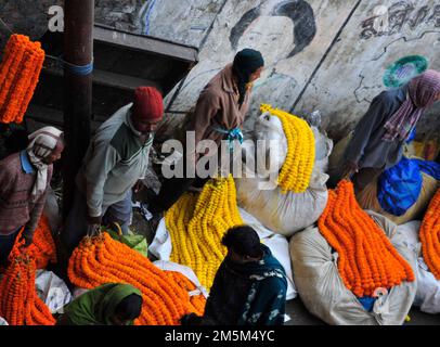 Mallick Ghat ist einer der größten Blumenmärkte in Asien. Szenen am frühen Morgen auf dem Markt in Kalkutta, Westbengalen, Indien. Stockfoto