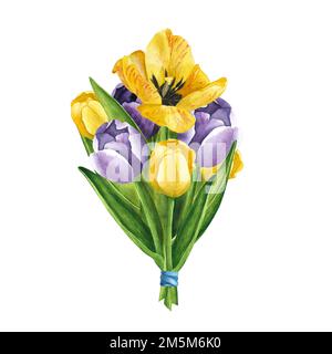 Tulpen, gelb und violett, Bouquet auf weißem Hintergrund. Aquarell-Handzeichnung. Kunst für Dekoration und Design von Druck, Gruß Stockfoto