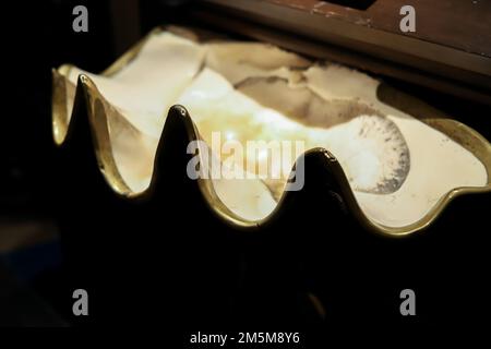 Montreal Notre Dame Basilika, im Inneren der katholischen Kirche - ein Altar mit Ikonen und Lampen. Pfeifenorgel, antike Dekoration, gotischer Stil, Buntglas Stockfoto