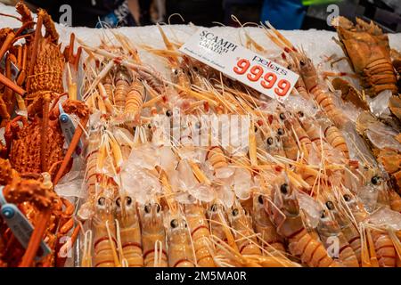 Ausstellung von Scampi zum Verkauf am Sydney Fish Market, Sydney, New South Wales, Australien, am 28. Dezember 2022 Stockfoto