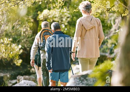 Wandern, Fitness und Senioren mit sportlichen Personen im Park, Seniorenwandergruppe mit Blick auf den Ruhestand und Trekking zurück. Wanderung, aktiv Stockfoto