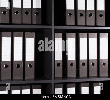 Archiv, Geschäftsdokumente in Ordnern, Ordner im Regal. Lagerung in Reihen. Hochwertiges Foto Stockfoto