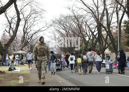 Airman 1. Class Christopher Thompson, 374. Security Forces Staffel Defense Leader, geht die McGuire Avenue entlang während des Sakura Spring Festivals am 26. März 2022, am Yokota Air Base, Japan. Das Sakura Festival ist eine bilaterale Veranstaltung, die darauf abzielt, die Beziehungen zwischen den USA und Japan zu stärken. Etwa 6.000 externe Community-Mitglieder konnten während der Veranstaltung Kirschblüten sehen und Straßenkünstler und Live-Musik neben der Basis-Community genießen. Stockfoto