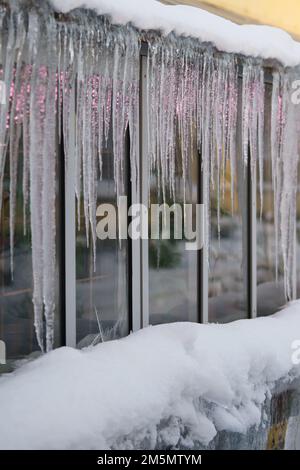 Gefrorene Eiszapfen hängen vom Dach auf dem Gewächshaus. Schnee schmilzt im frühen Frühling und in der Schneebause Stockfoto