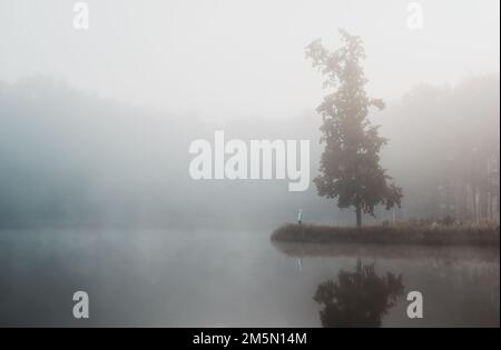 Junger Mann in weißem Kapuzenpulli, der auf einer Graslandschaft steht, mit einsamem Baum im Morgennebel. Ruhige tschechische Landschaft Stockfoto