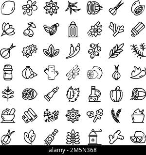 Gewürzkraut Symbole gesetzt. Umrisse der Würze Vector Icons für Web Design auf weißem Hintergrund Stock Vektor