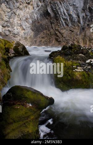 Eine lange Aufnahme des kaskadierenden Wasserfalls, der die moosbedeckten Felsen im Wald herunterkommt Stockfoto
