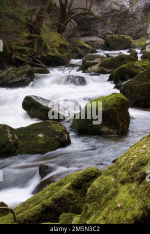 Eine lange Aufnahme des kaskadierenden Wasserfalls, der die moosbedeckten Felsen im Wald herunterkommt Stockfoto