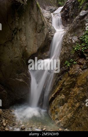 Eine lange Aufnahme eines kaskadierenden Wasserfalls, der die großen Felsen im Wald herunterfällt Stockfoto
