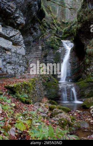 Eine lange Aufnahme eines kaskadierenden Wasserfalls, der im Wald neben einer Treppe über die Felsen fällt Stockfoto