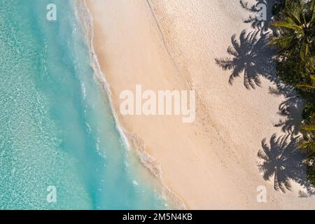 Aus der Vogelperspektive tropische Sommerpalmen Schatten an der Sandküste Wellen plätschern. Wunderschöner Blick von oben auf die sonnige Küste exotisch fantastisch Stockfoto