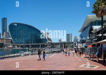 Darling Harbour und The Ribbon Building in Sydney, New South Wales, Australien, am 28. Dezember 2022 Stockfoto