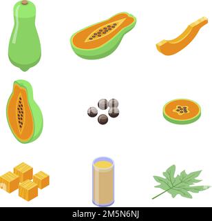 Papaya-Symbole gesetzt. Isometrischer Satz von Papaya-Vektorsymbolen für Webdesign isoliert auf weißem Hintergrund Stock Vektor
