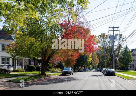 Häuser entlang der Road in Newtown, Pennsylvania, USA Stockfoto