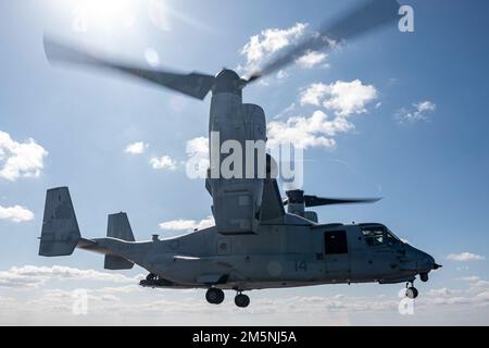 OSTCHINESISCHES MEER (24. Februar 2022) ein Flugzeug der MV-22B Osprey Tiltrotor aus der 31. Marine Expeditionary Unit (MEU) startet vom Flugdeck des nach vorn eingesetzten Amphibienschiffes. Amerika, das führende Schiff der America Amphibious Ready Group, ist zusammen mit der 31. MEU im Zuständigkeitsbereich der US-amerikanischen 7.-Flotte tätig, um die Interoperabilität mit Verbündeten und Partnern zu verbessern und als einsatzbereite Eingreiftruppe zur Verteidigung von Frieden und Stabilität in der Region Indo-Pazifik zu dienen. Stockfoto