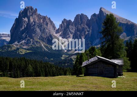 Alpenhütte vor den Bergen Langkofel und Plattkofel, Alpe di Siusi, Südtirol, Italien Stockfoto