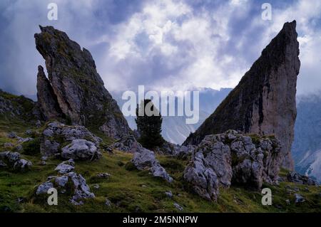 Malga-Alm unter den Geisler-Gipfeln, Puez-Odle Naturpark, Seceda, Val Gardena, Trentino, Südtirol, Italien Stockfoto