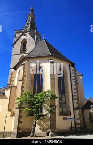 St. Martin's Cathedral ist ein Anblick im historischen Stadtzentrum von Rottenburg am Neckar. Rottenburg am Neckar, Tuebingen, Baden-Württemberg, Deutschland Stockfoto