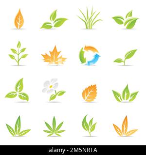 Glossy Leaves with Recycling Symbol and Daisy Flower isolated on a White Background Stockfoto