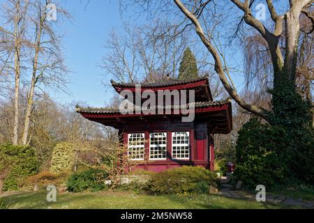 Japanischer Garten Leverkusen, Carl-Duisberg-Park, Nordrhein-Westfalen, Deutschland Stockfoto