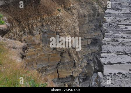 Die Klippen von Kilve sind im frühen Jura alt. Die Schichten enthalten Schichten von Kalkstein und Schiefer aus der Lower Lias Periode.Kilve ist auf der Severn Estura Stockfoto