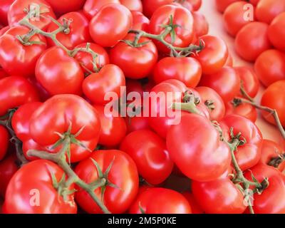 Nahaufnahme frischer ganzer Reben-Tomaten Stockfoto