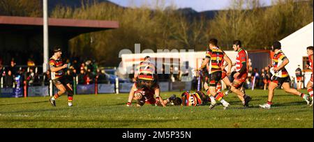 Llandovery RFC V Carmarthen Quins 2022 Indigo Prem Stockfoto