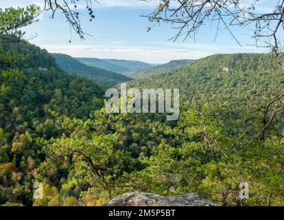 Der Fall River Falls State Park in Tennessee führt vom Millikan's Overlook aus in nördlicher Richtung auf den Cane Creek. Stockfoto