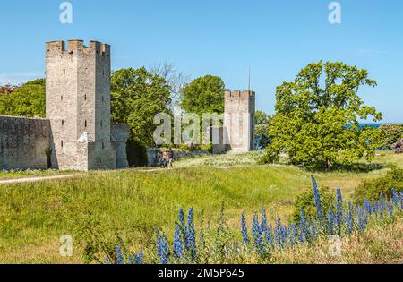 Sehen Sie die historischen Stadtmauern in Visby auf der Insel Gotland, Schweden Stockfoto