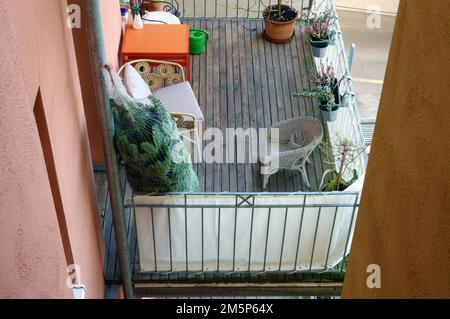 Weimar, Deutschland. 24. Dezember 2022. Eine Tanne wird nach dem Kauf in ein Netz gewickelt und steht auf dem Balkon einer Wohnung in einem Apartmentgebäude. Traditionell sind die Weihnachtsbäume an Heiligabend mit echten Kerzen oder Feenlichtern dekoriert, sowie mit Kugeln, farbigen Stoffbögen und kleinen Figuren. Kredit: Soeren Stache/dpa/Alamy Live News Stockfoto
