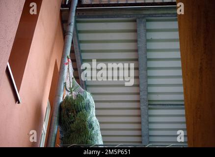 Weimar, Deutschland. 24. Dezember 2022. Eine Tanne wird nach dem Kauf in ein Netz gewickelt und steht auf dem Balkon einer Wohnung in einem Apartmentgebäude. Traditionell sind die Weihnachtsbäume an Heiligabend mit echten Kerzen oder Feenlichtern dekoriert, sowie mit Kugeln, farbigen Stoffbögen und kleinen Figuren. Kredit: Soeren Stache/dpa/Alamy Live News Stockfoto