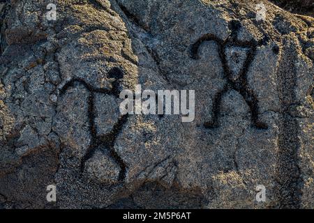 PULOA PETROGLYPHEN VULKANE IM HAWAII NATIONALPARK VULKAN HAWAII USA Stockfoto