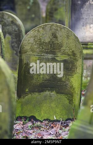 Warschau, Polen - 27. Dezember 2022: Alte und vernachlässigte Grabsteine auf dem jüdischen Friedhof in Warschau in Polen. Stockfoto