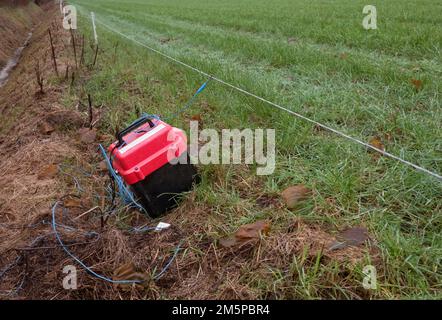 Beweglicher Weidezaun und Batterie mit Masseanschluss Stockfoto