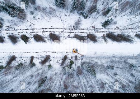 Eine gelbe Guillotine, die Energieholz und billiges Hartholz neben einer kleinen Straße im winterlichen Estland in Nordeuropa abschneidet Stockfoto