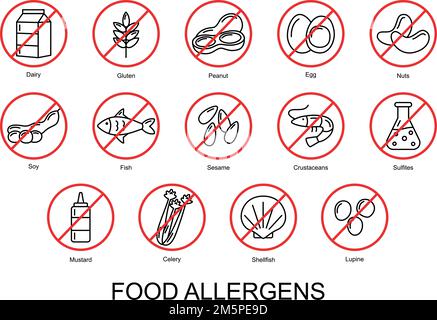 Lebensmittelallergene. Satz grundlegender Symbole für Allergene. Vektordarstellung Stock Vektor