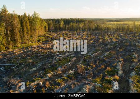 Ein Luftblick auf ein mineralisiertes, klares Gebiet neben einem Wald bei Hossa, Nordfinnland Stockfoto