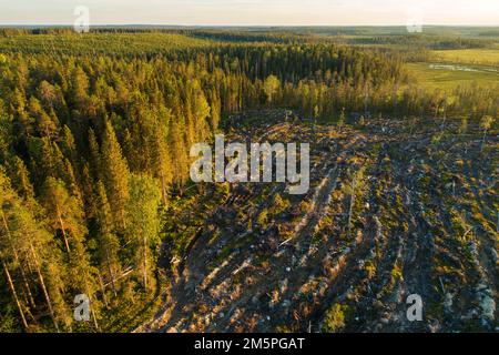 Ein Luftblick auf ein mineralisiertes, klares Gebiet neben einem Wald bei Hossa, Nordfinnland Stockfoto