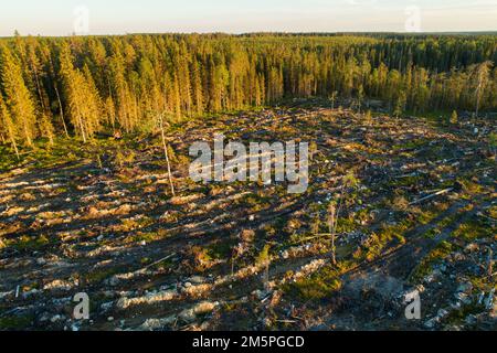 Ein Luftblick auf ein mineralisiertes, klares Gebiet neben einem Wald bei Hossa, Nordfinnland Stockfoto