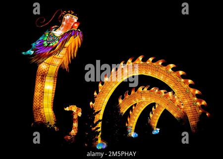 Eine glühende, riesige Drachen-Skulptur bei der atemberaubenden nächtlichen GloWild-Veranstaltung im Kansas City Zoo Stockfoto