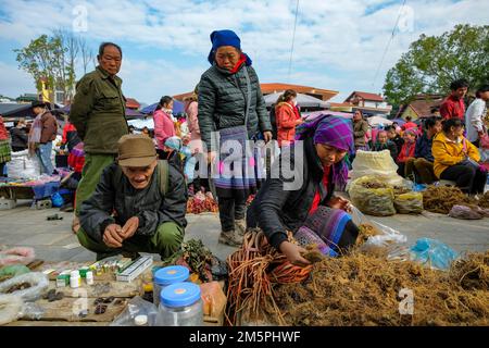 BAC Ha, Vietnam - 18. Dezember 2022: Eine Frau, die Gemüse auf dem Bac Ha-Markt in Vietnam verkauft. Stockfoto