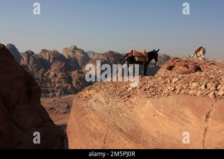 Typischer Bergblick auf dem Pfad mit zwei Eseln in Sicht, in Petra, Jordanien Stockfoto