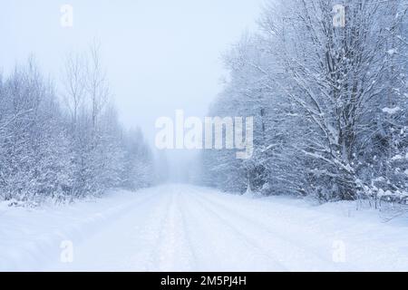 Eine schneebedeckte Straße, die an einem kalten Tag im ländlichen Estland und Nordeuropa durch winterliche Wälder führt Stockfoto